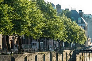 Pflanzung durch patentiertes Verfahren